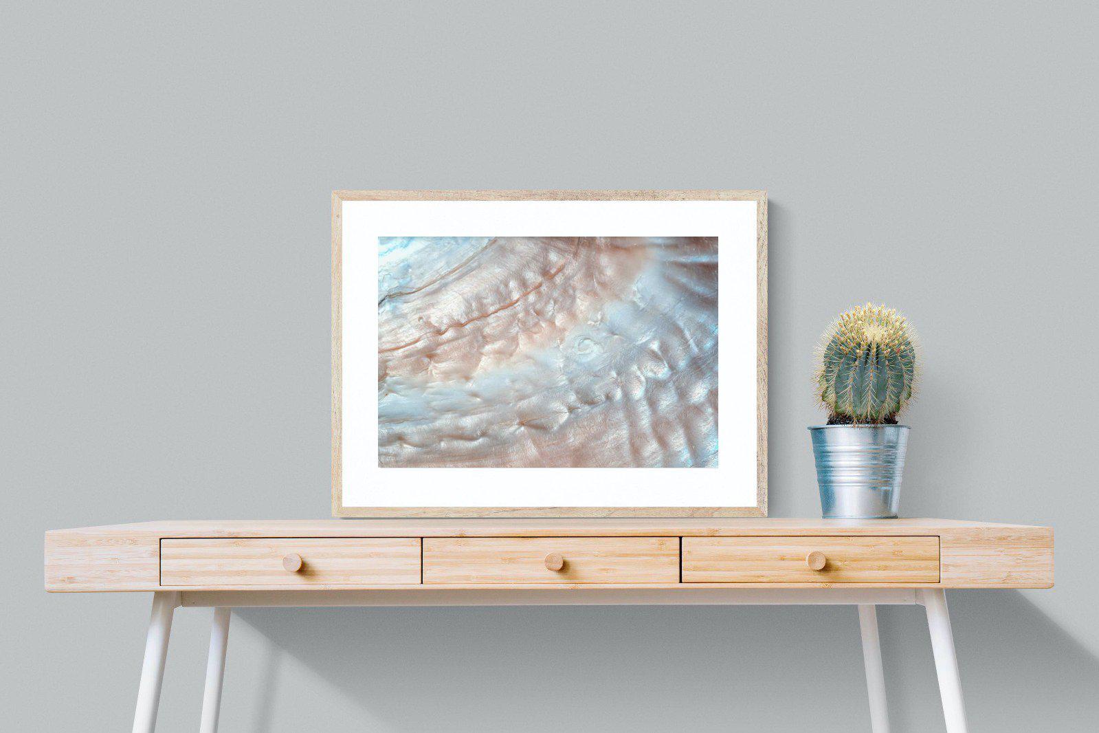 Seashell-Wall_Art-80 x 60cm-Framed Print-Wood-Pixalot