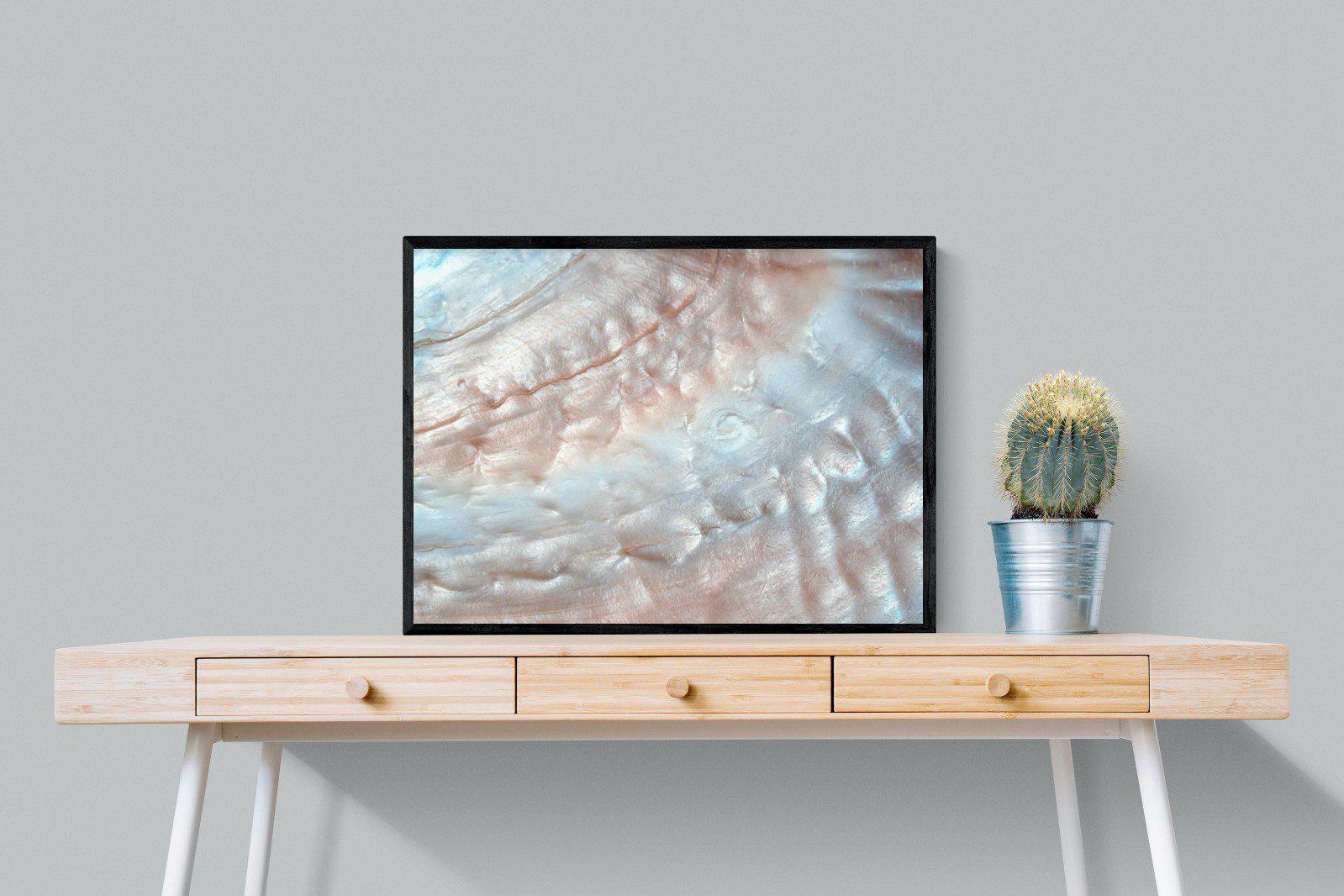 Seashell-Wall_Art-80 x 60cm-Mounted Canvas-Black-Pixalot