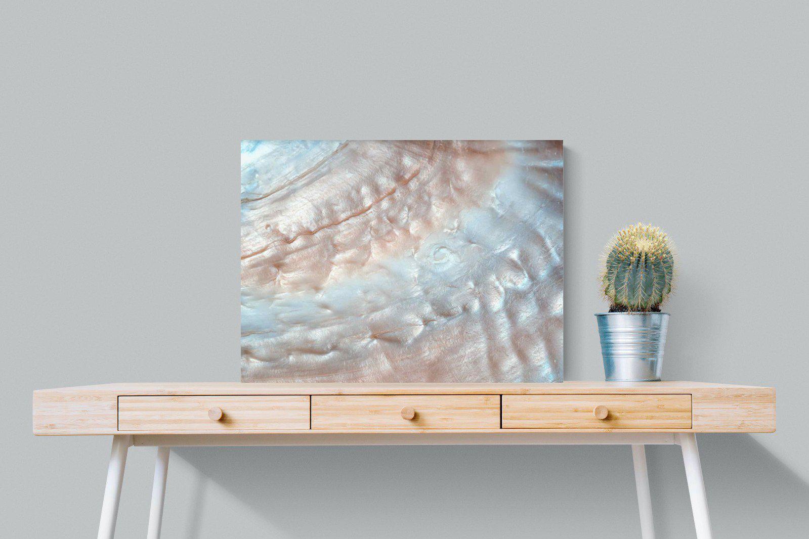 Seashell-Wall_Art-80 x 60cm-Mounted Canvas-No Frame-Pixalot