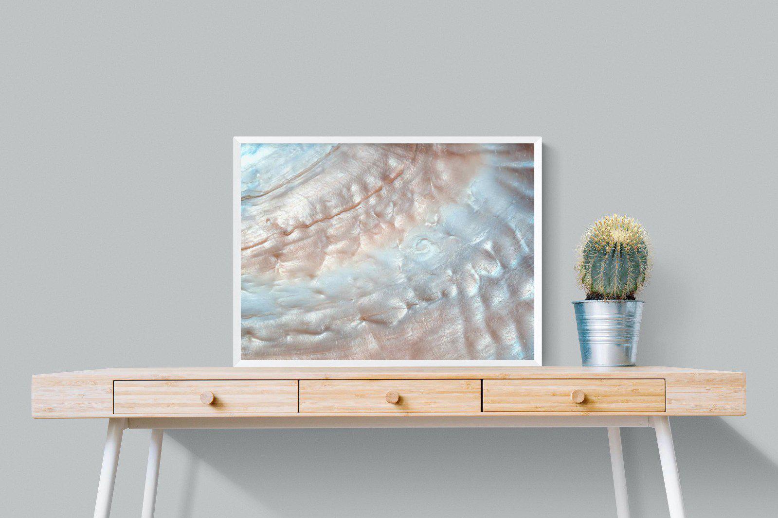 Seashell-Wall_Art-80 x 60cm-Mounted Canvas-White-Pixalot