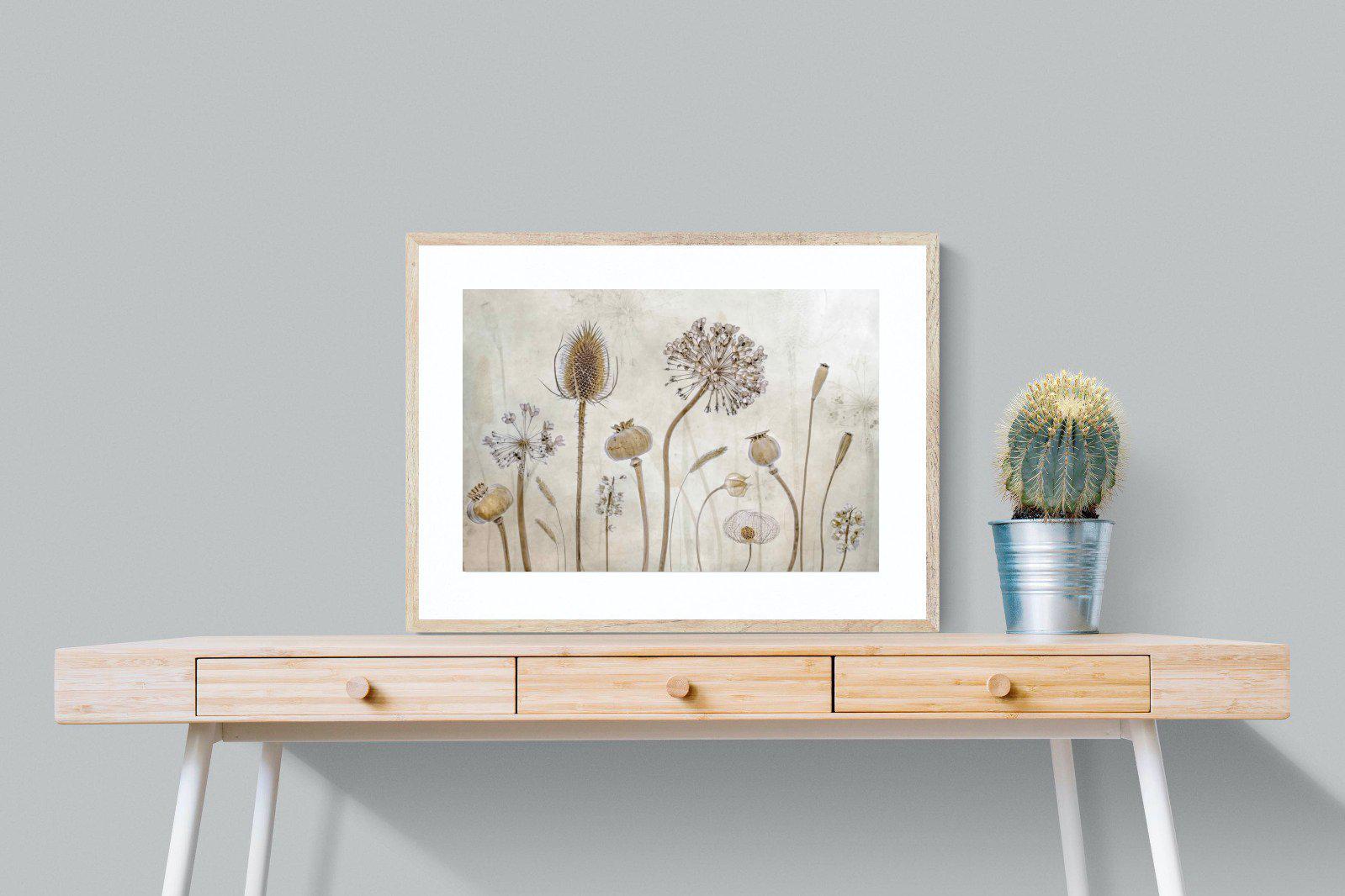 Seed Pods-Wall_Art-80 x 60cm-Framed Print-Wood-Pixalot