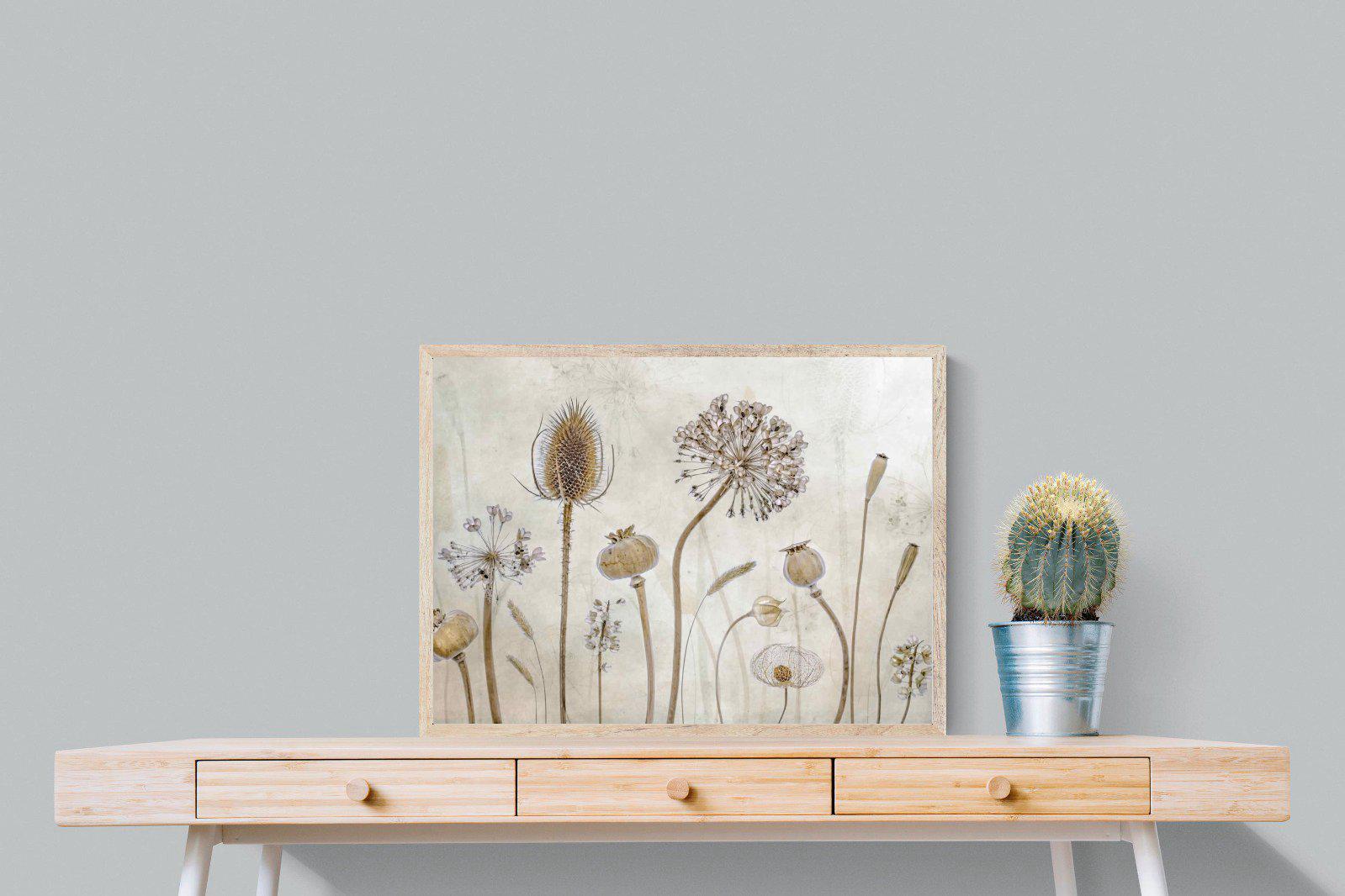 Seed Pods-Wall_Art-80 x 60cm-Mounted Canvas-Wood-Pixalot