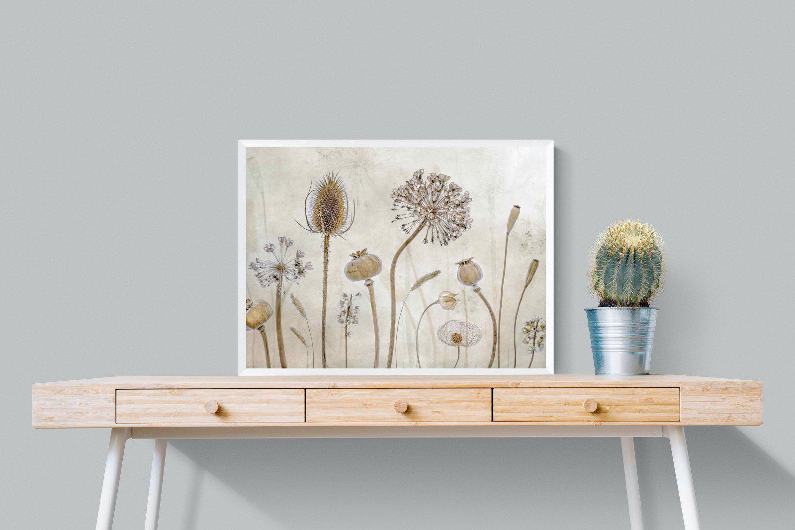 Seed Pods-Wall_Art-80 x 60cm-Mounted Canvas-White-Pixalot