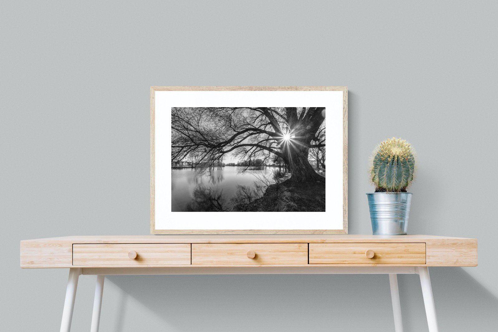 Shards of Light-Wall_Art-80 x 60cm-Framed Print-Wood-Pixalot