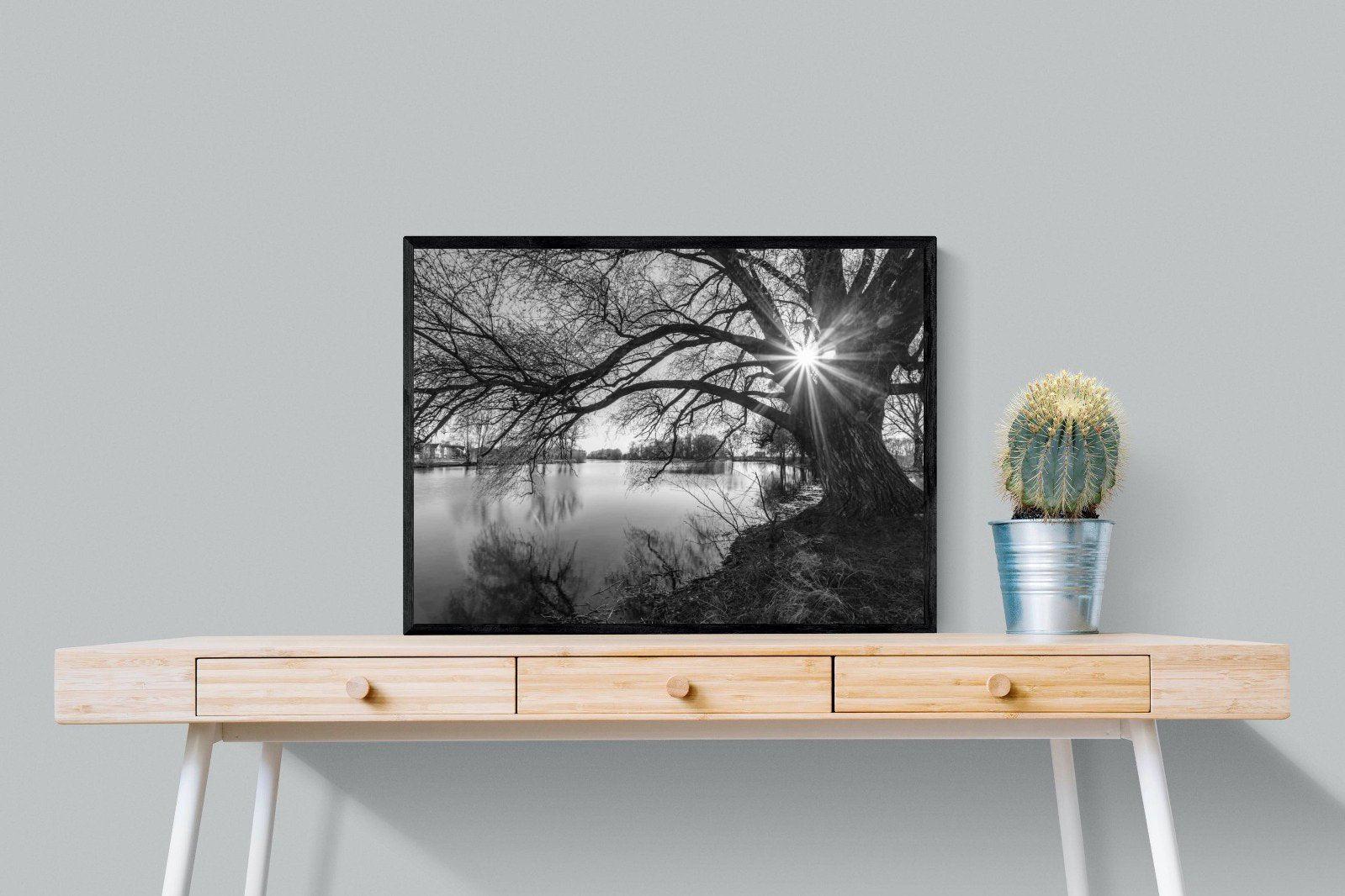 Shards of Light-Wall_Art-80 x 60cm-Mounted Canvas-Black-Pixalot