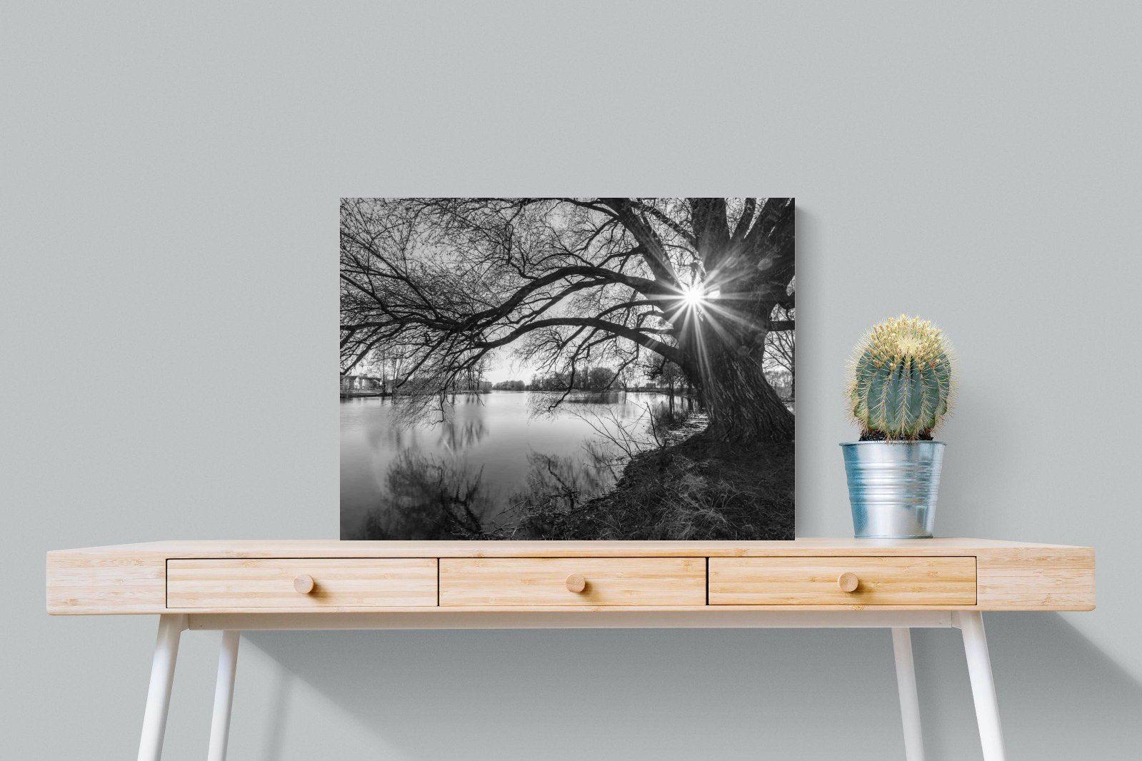 Shards of Light-Wall_Art-80 x 60cm-Mounted Canvas-No Frame-Pixalot