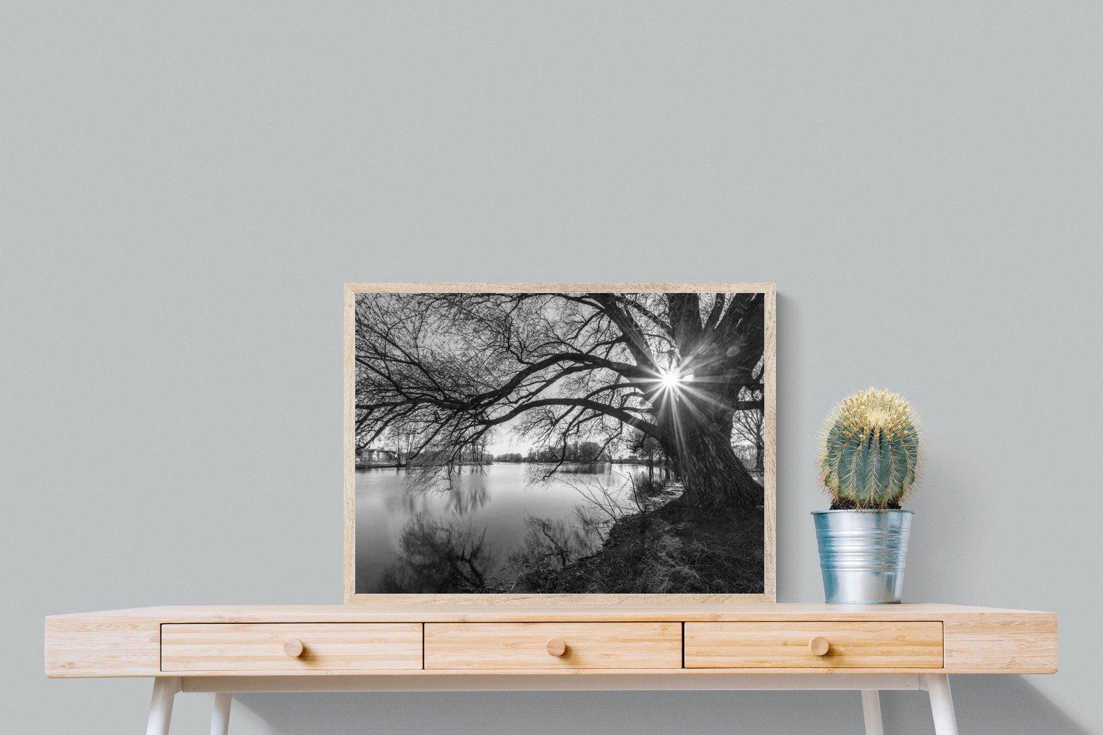 Shards of Light-Wall_Art-80 x 60cm-Mounted Canvas-Wood-Pixalot