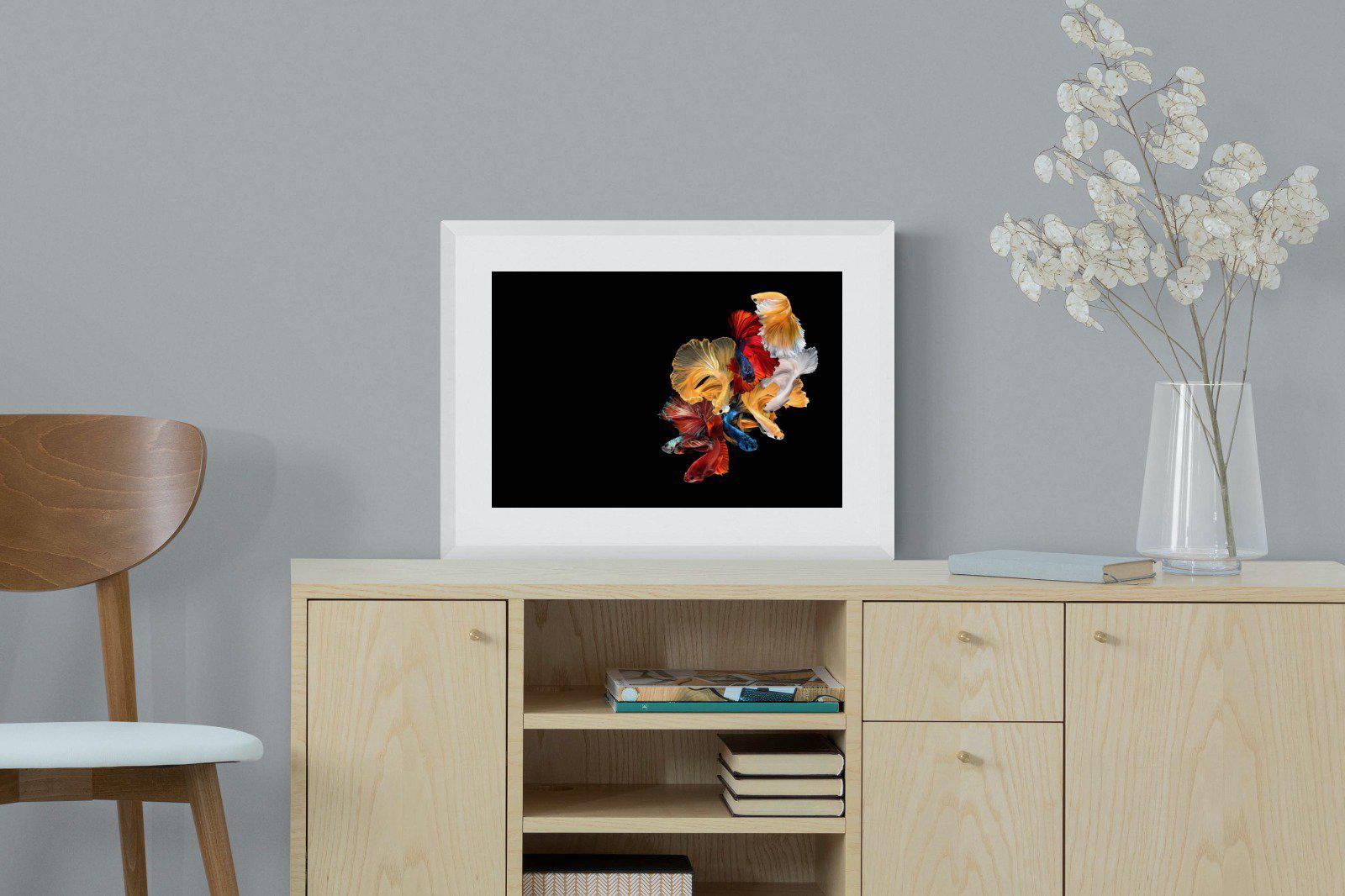 Siamese-Wall_Art-60 x 45cm-Framed Print-White-Pixalot