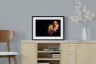 Siamese-Wall_Art-60 x 45cm-Framed Print-Black-Pixalot