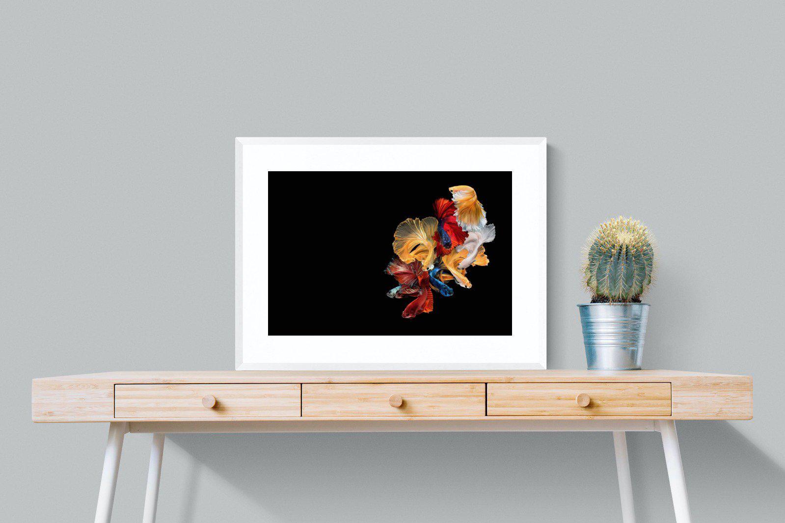 Siamese-Wall_Art-80 x 60cm-Framed Print-White-Pixalot