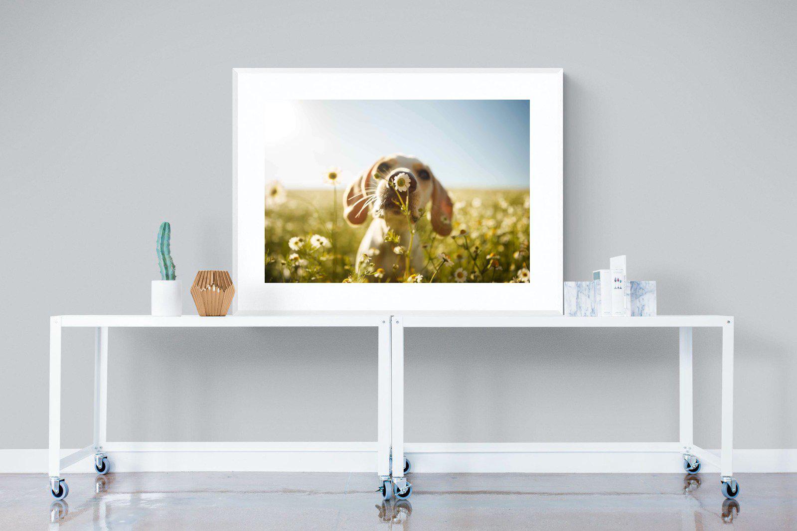 Sniff-Wall_Art-120 x 90cm-Framed Print-White-Pixalot