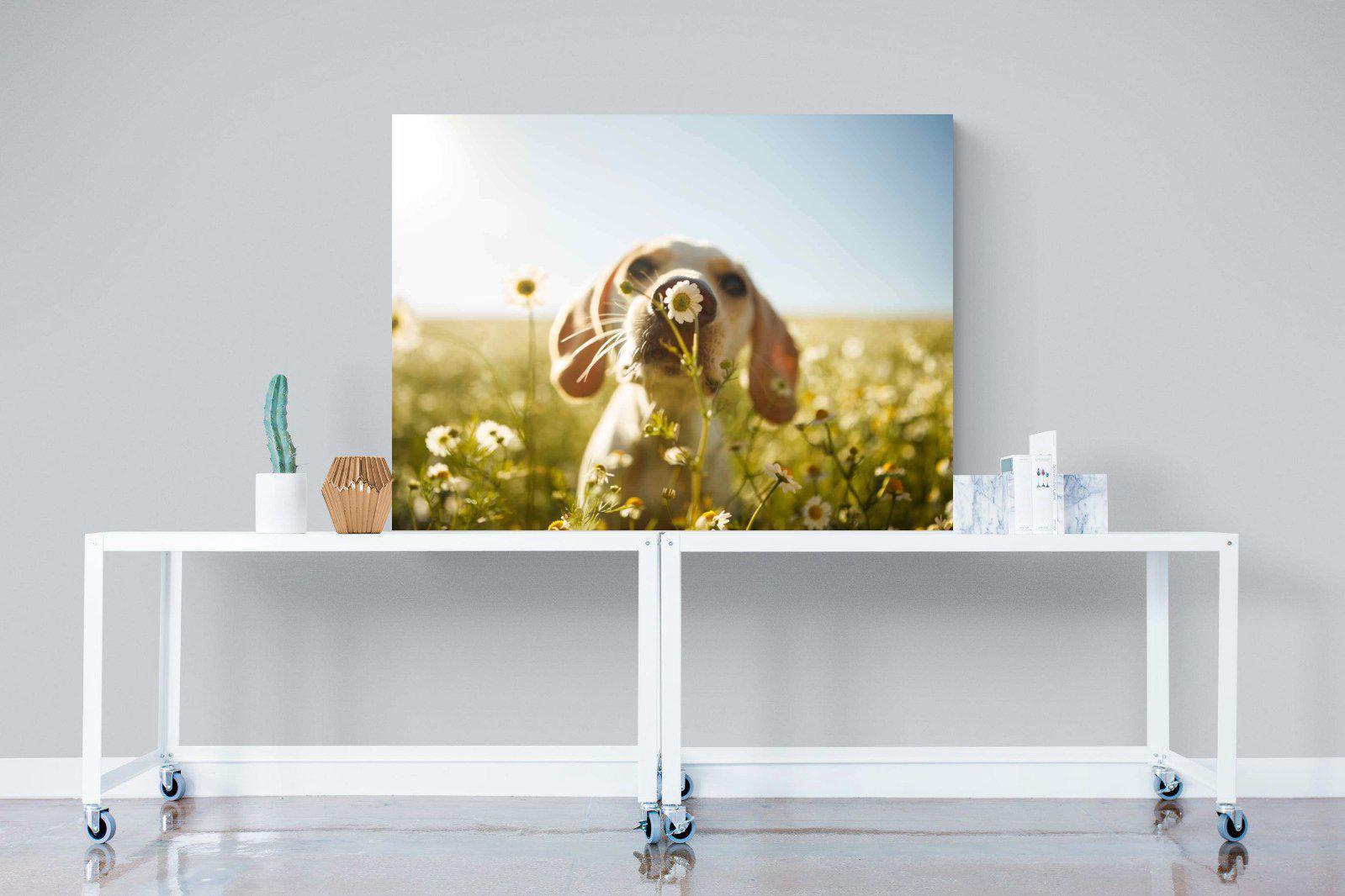 Sniff-Wall_Art-120 x 90cm-Mounted Canvas-No Frame-Pixalot