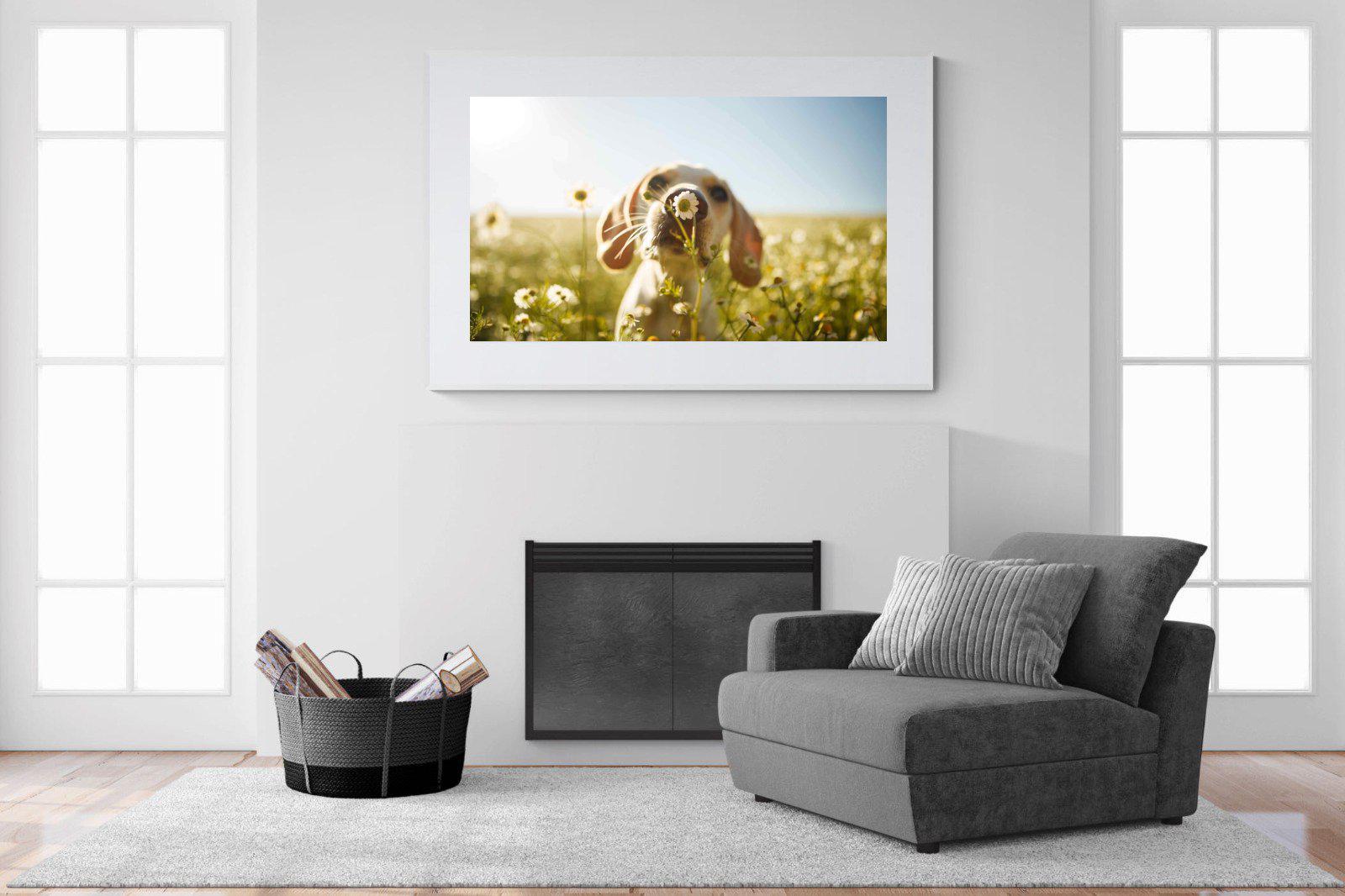 Sniff-Wall_Art-150 x 100cm-Framed Print-White-Pixalot
