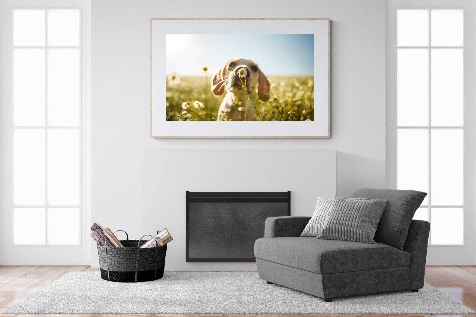Sniff-Wall_Art-150 x 100cm-Framed Print-Wood-Pixalot
