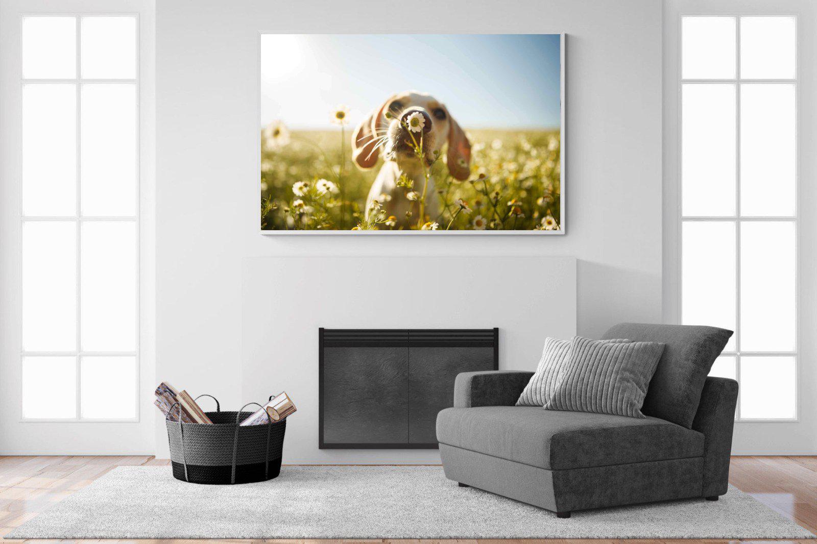 Sniff-Wall_Art-150 x 100cm-Mounted Canvas-White-Pixalot