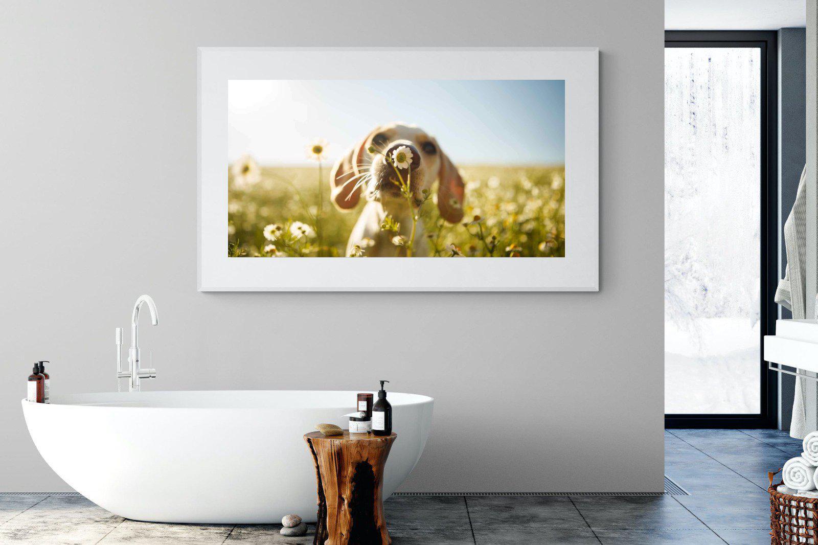 Sniff-Wall_Art-180 x 110cm-Framed Print-White-Pixalot