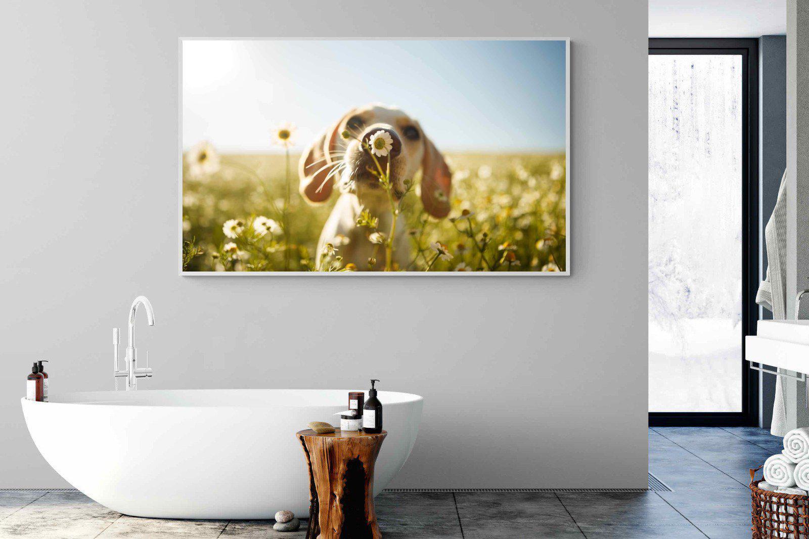 Sniff-Wall_Art-180 x 110cm-Mounted Canvas-White-Pixalot
