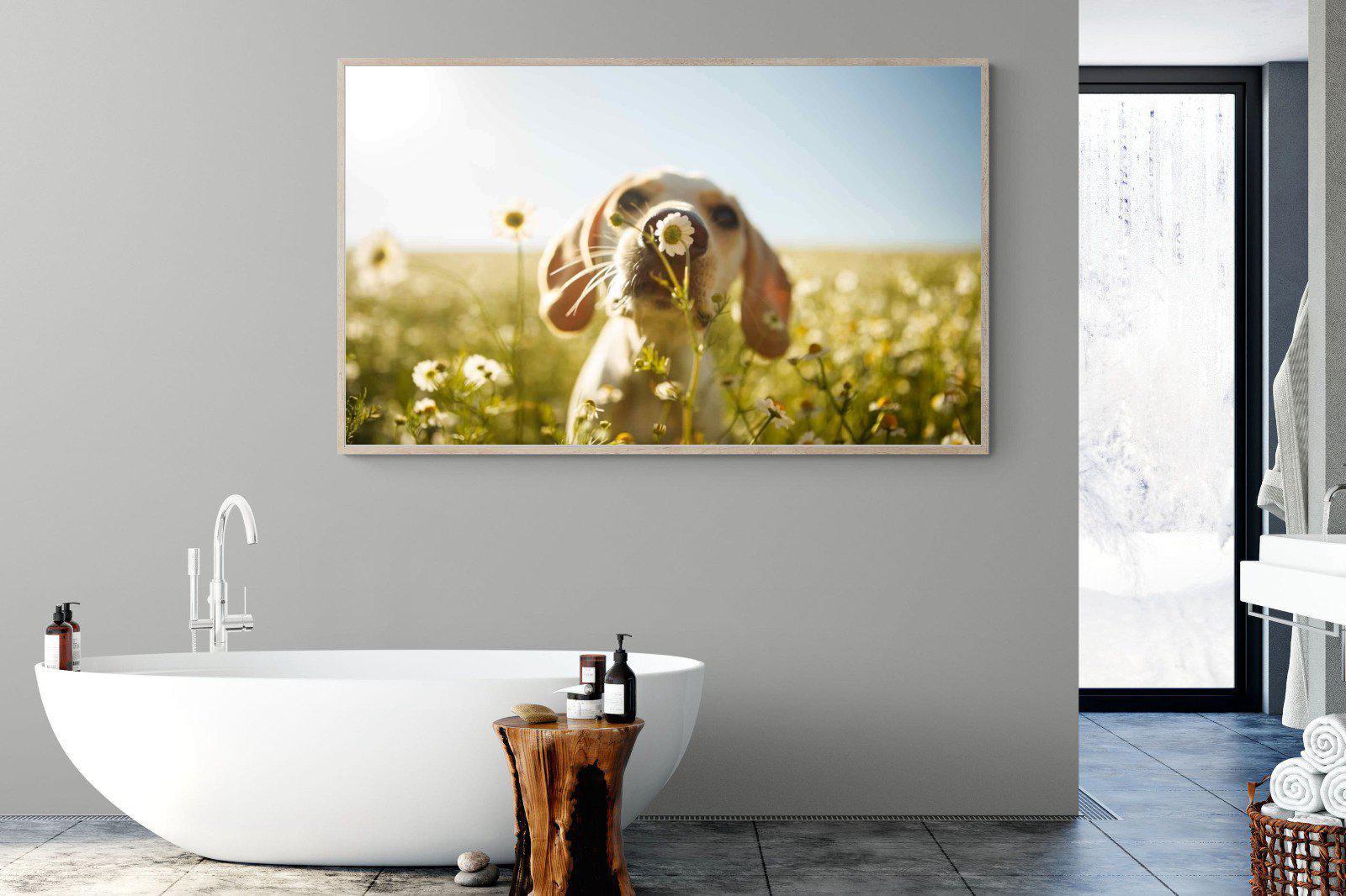 Sniff-Wall_Art-180 x 110cm-Mounted Canvas-Wood-Pixalot