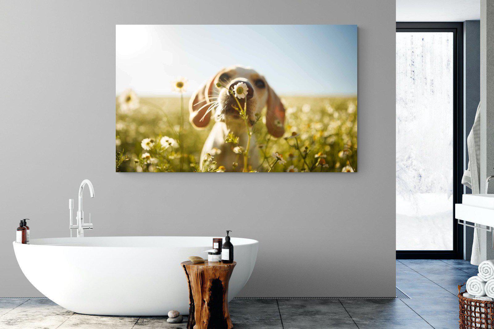 Sniff-Wall_Art-180 x 110cm-Mounted Canvas-No Frame-Pixalot