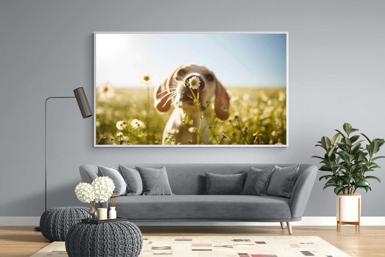Sniff-Wall_Art-220 x 130cm-Mounted Canvas-White-Pixalot