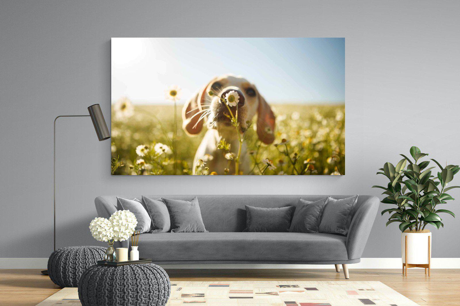 Sniff-Wall_Art-220 x 130cm-Mounted Canvas-No Frame-Pixalot