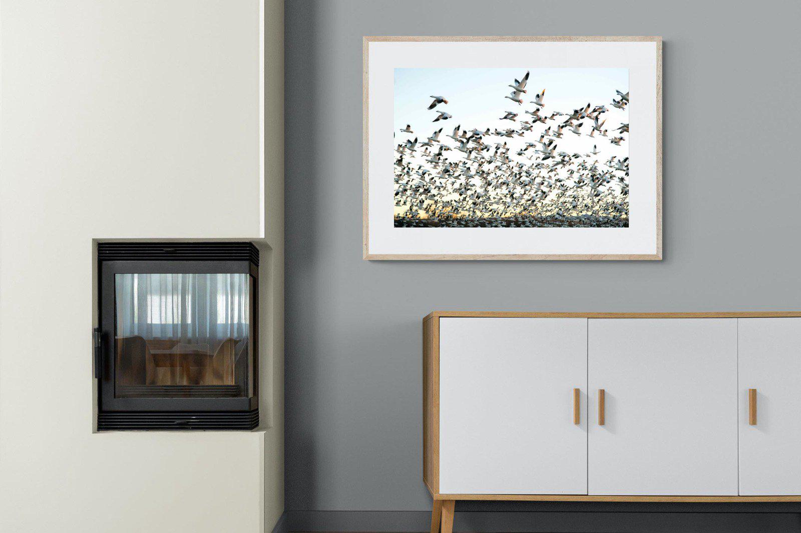 Snow Geese-Wall_Art-100 x 75cm-Framed Print-Wood-Pixalot