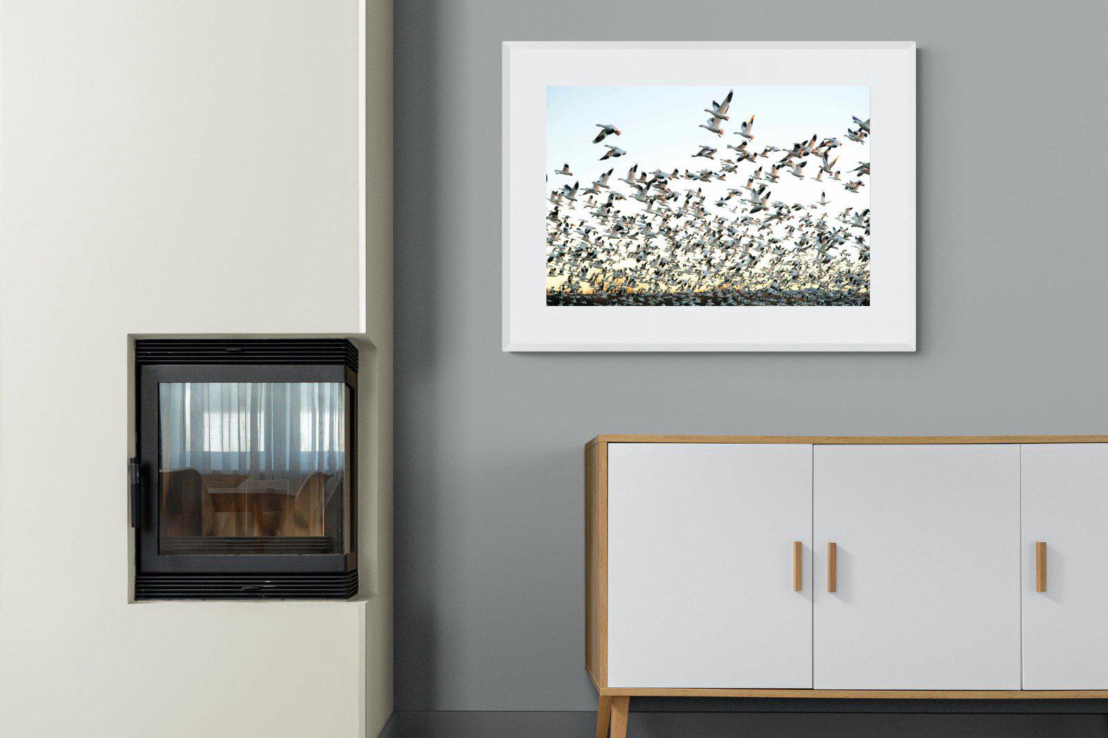 Snow Geese-Wall_Art-100 x 75cm-Framed Print-White-Pixalot