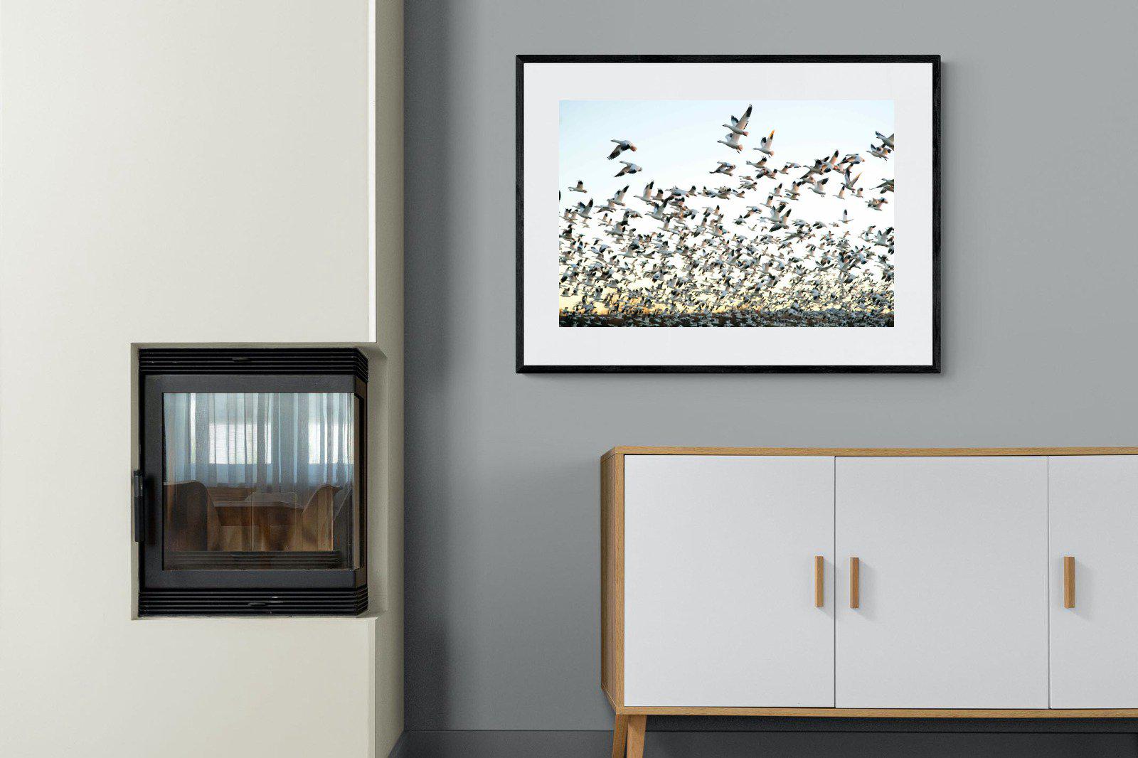 Snow Geese-Wall_Art-100 x 75cm-Framed Print-Black-Pixalot