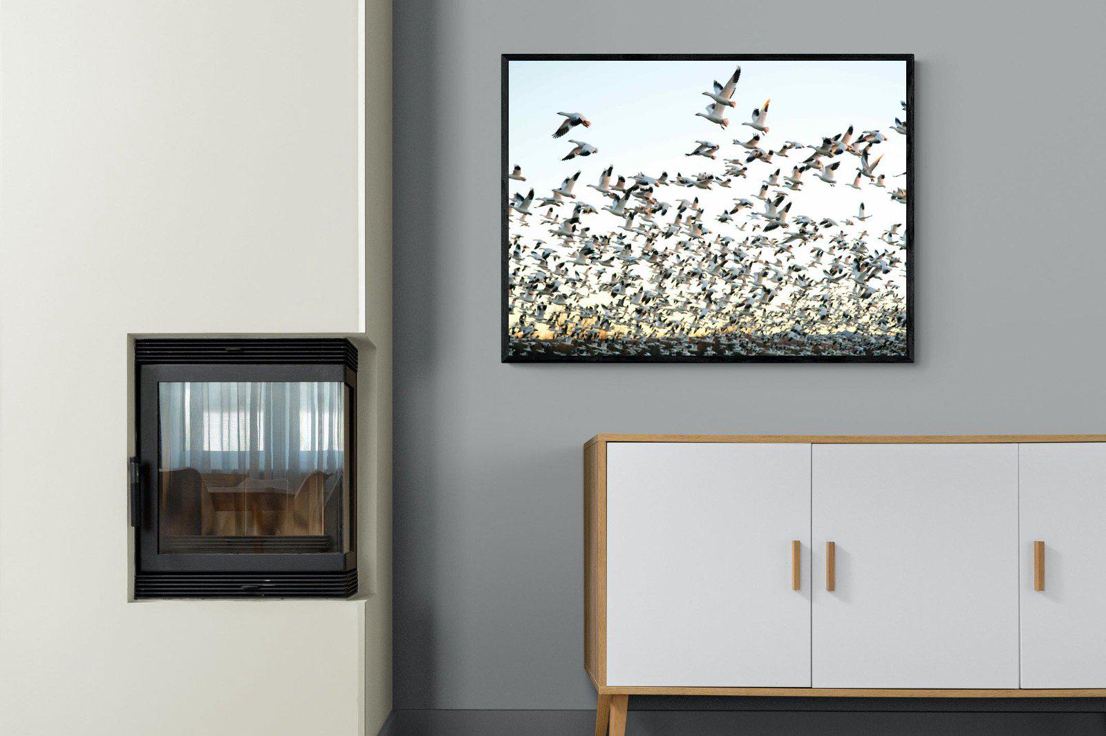 Snow Geese-Wall_Art-100 x 75cm-Mounted Canvas-Black-Pixalot