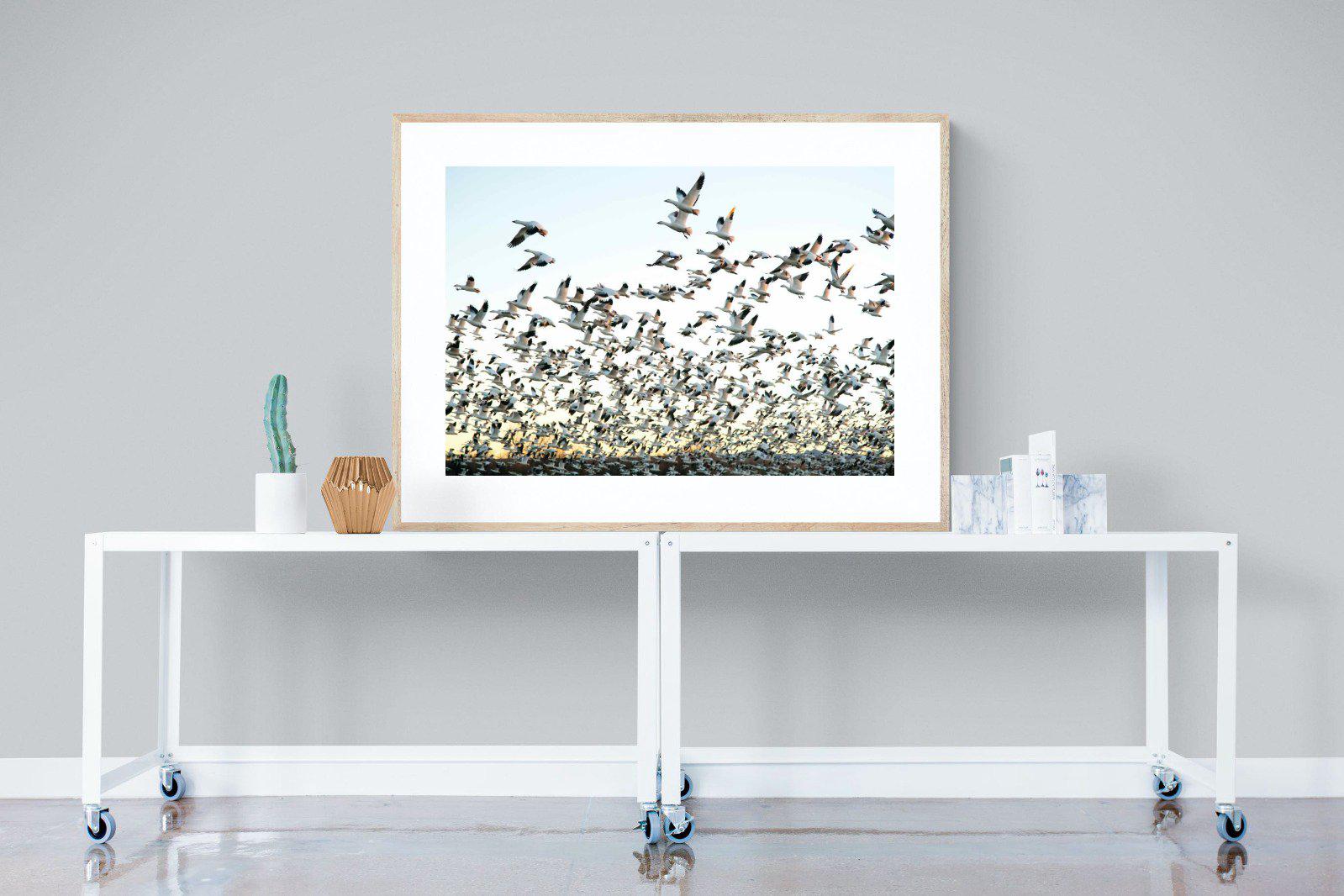Snow Geese-Wall_Art-120 x 90cm-Framed Print-Wood-Pixalot