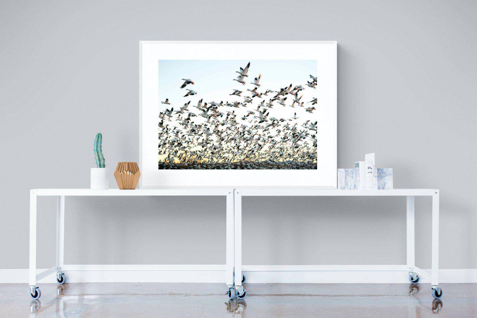 Snow Geese-Wall_Art-120 x 90cm-Framed Print-White-Pixalot
