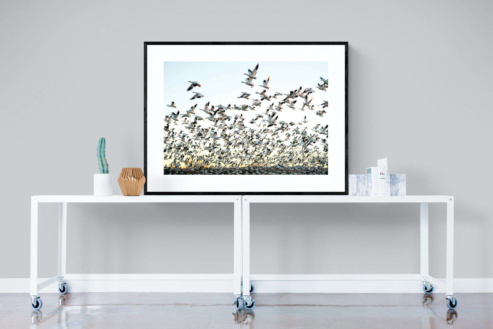 Snow Geese-Wall_Art-120 x 90cm-Framed Print-Black-Pixalot