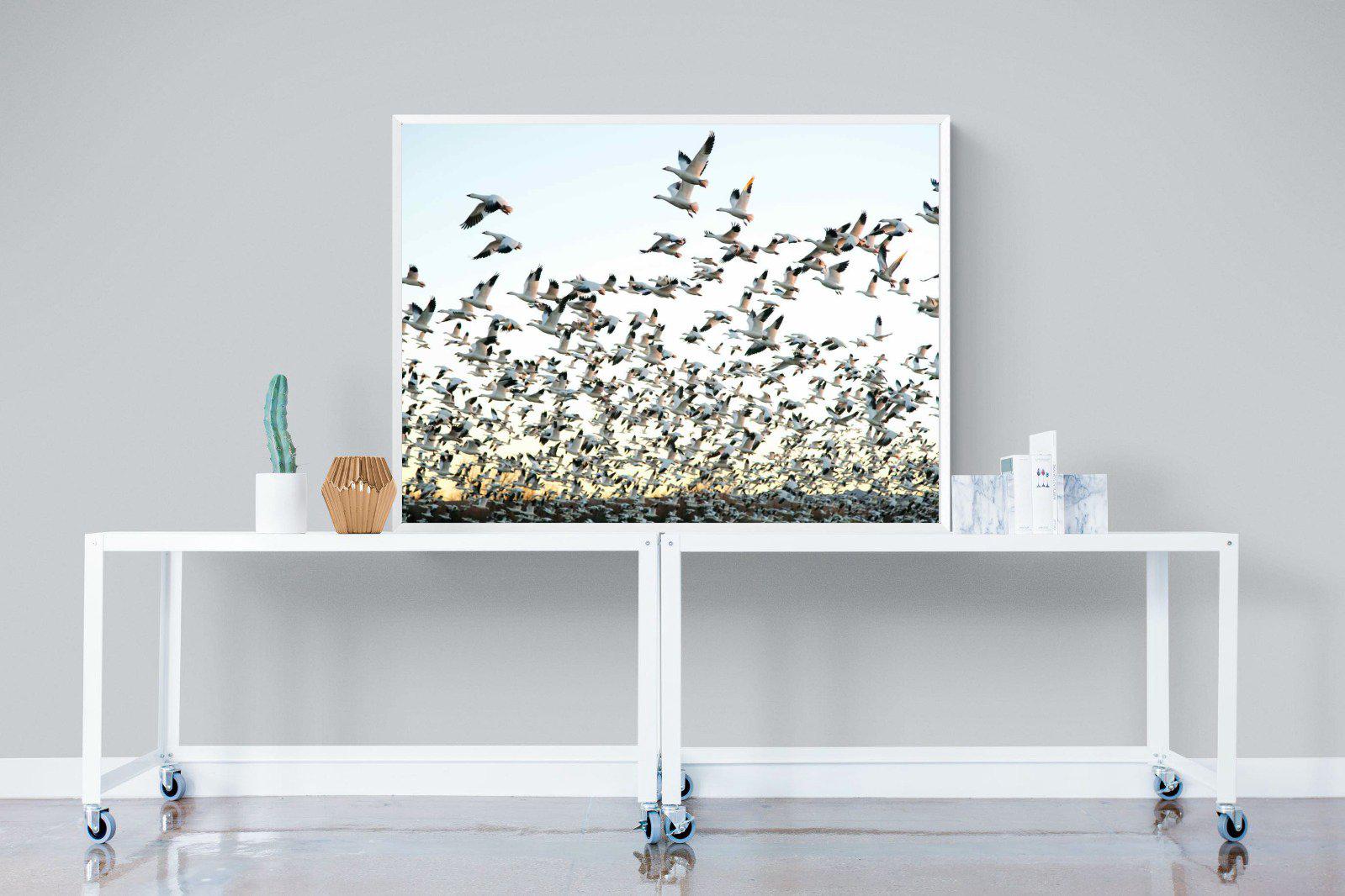 Snow Geese-Wall_Art-120 x 90cm-Mounted Canvas-White-Pixalot