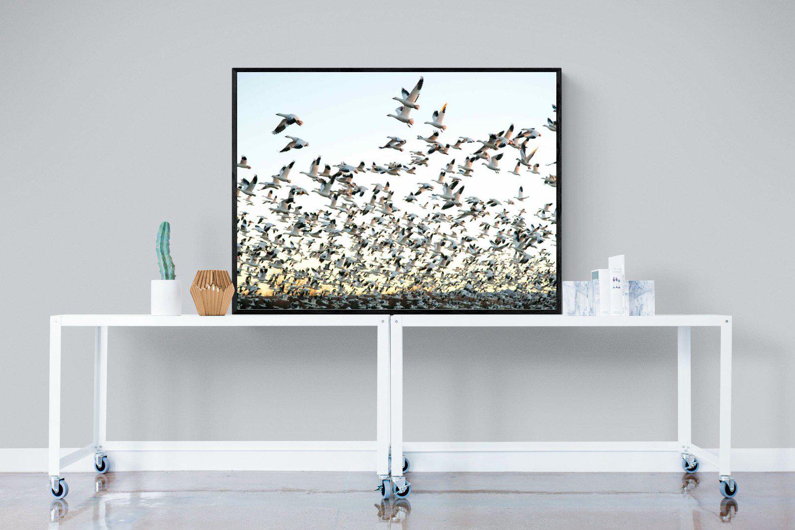 Snow Geese-Wall_Art-120 x 90cm-Mounted Canvas-Black-Pixalot