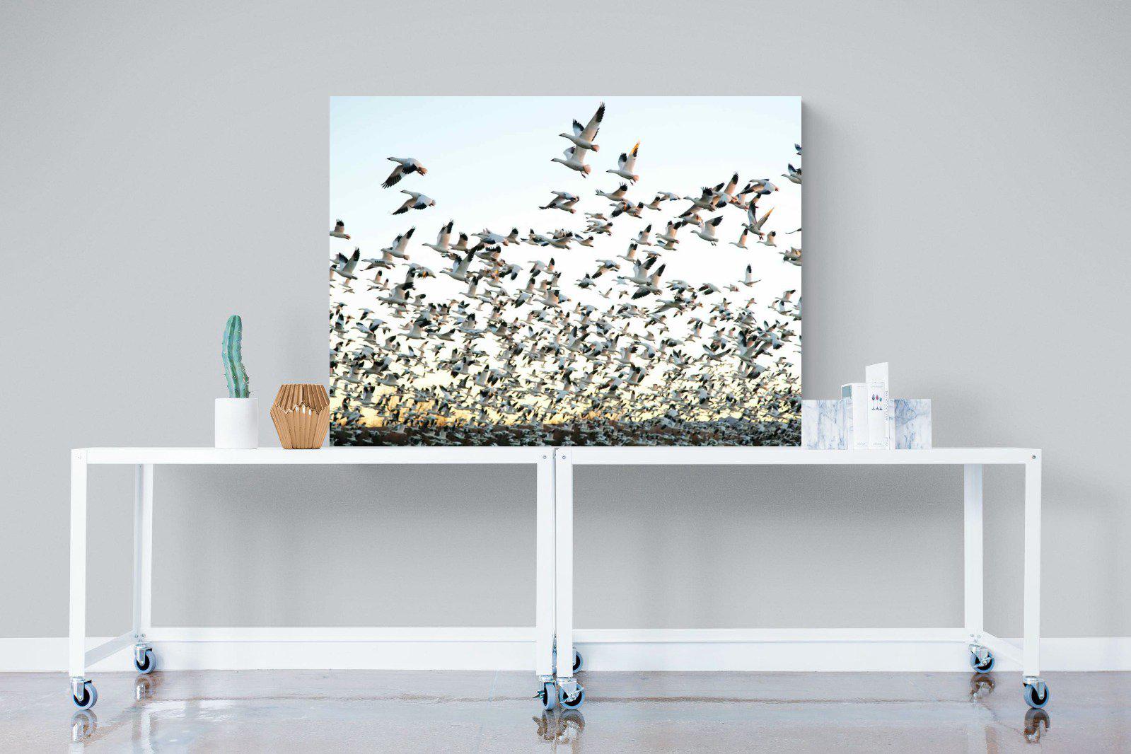 Snow Geese-Wall_Art-120 x 90cm-Mounted Canvas-No Frame-Pixalot