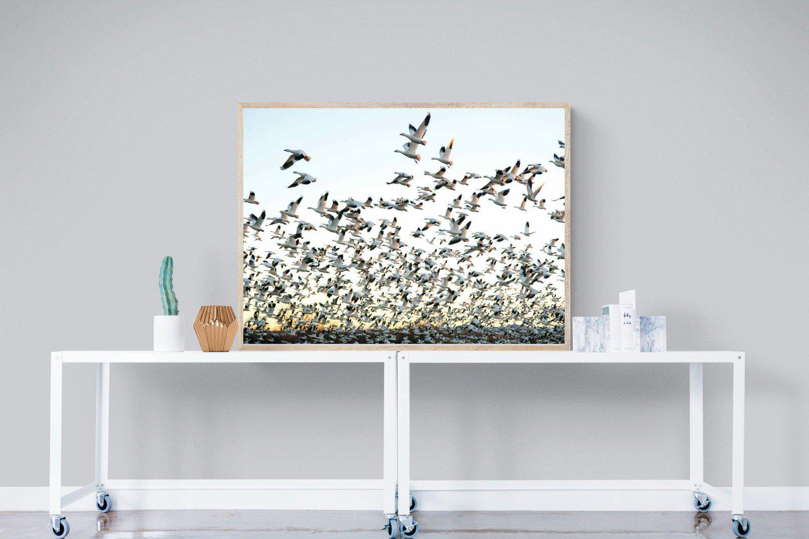 Snow Geese-Wall_Art-120 x 90cm-Mounted Canvas-Wood-Pixalot