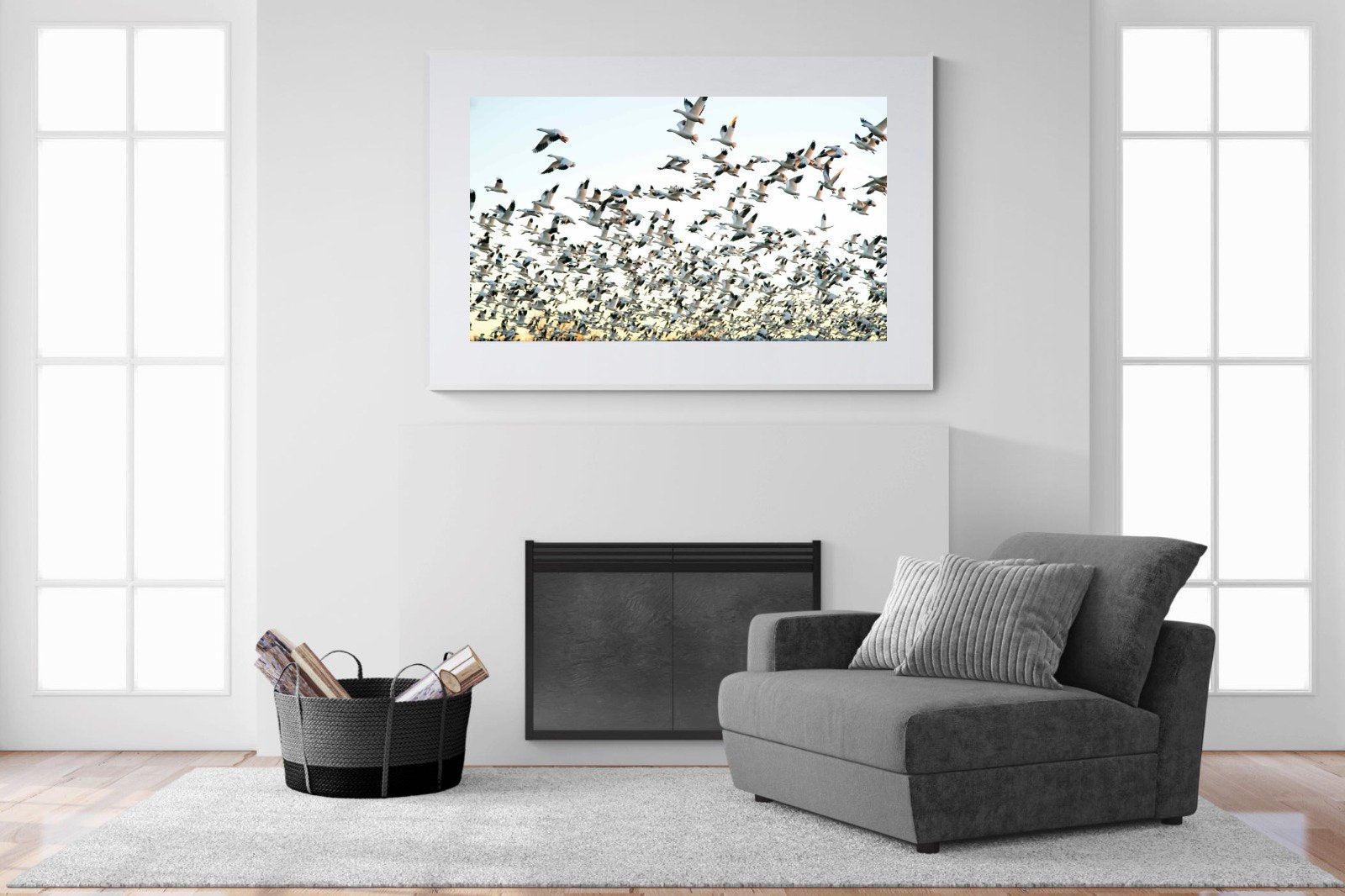 Snow Geese-Wall_Art-150 x 100cm-Framed Print-White-Pixalot