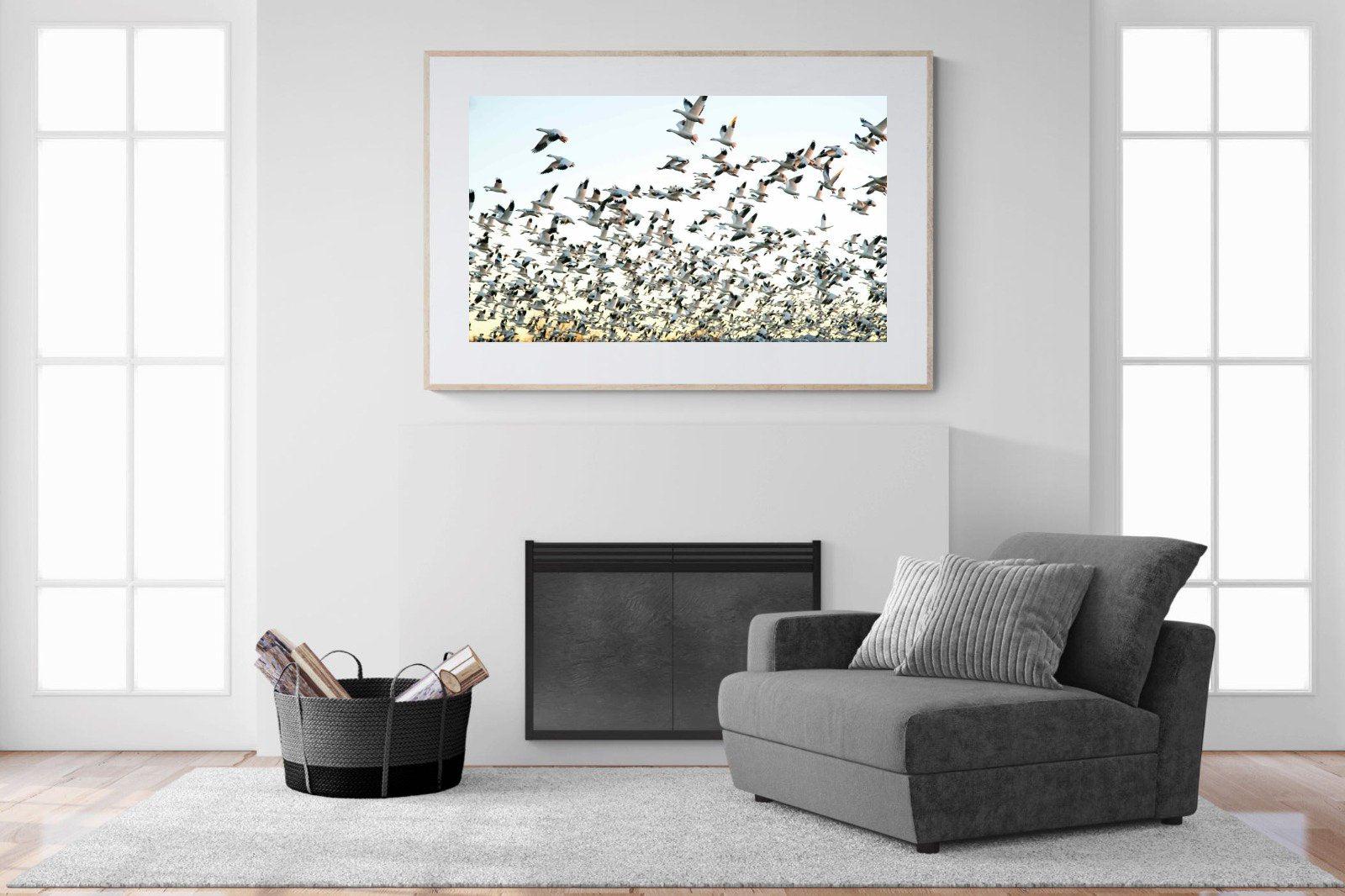 Snow Geese-Wall_Art-150 x 100cm-Framed Print-Wood-Pixalot
