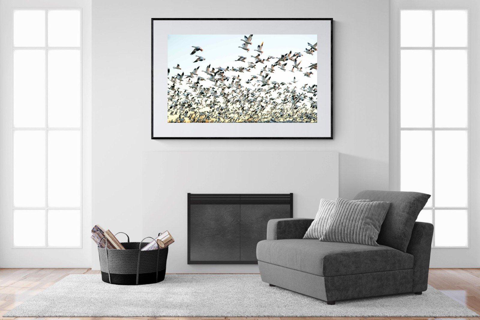Snow Geese-Wall_Art-150 x 100cm-Framed Print-Black-Pixalot