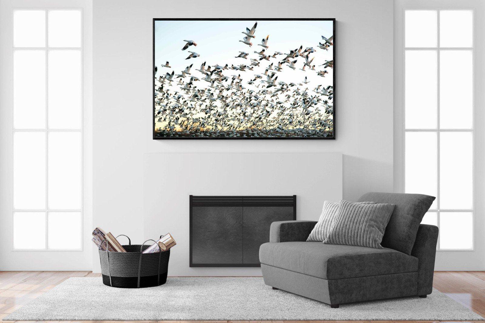 Snow Geese-Wall_Art-150 x 100cm-Mounted Canvas-Black-Pixalot