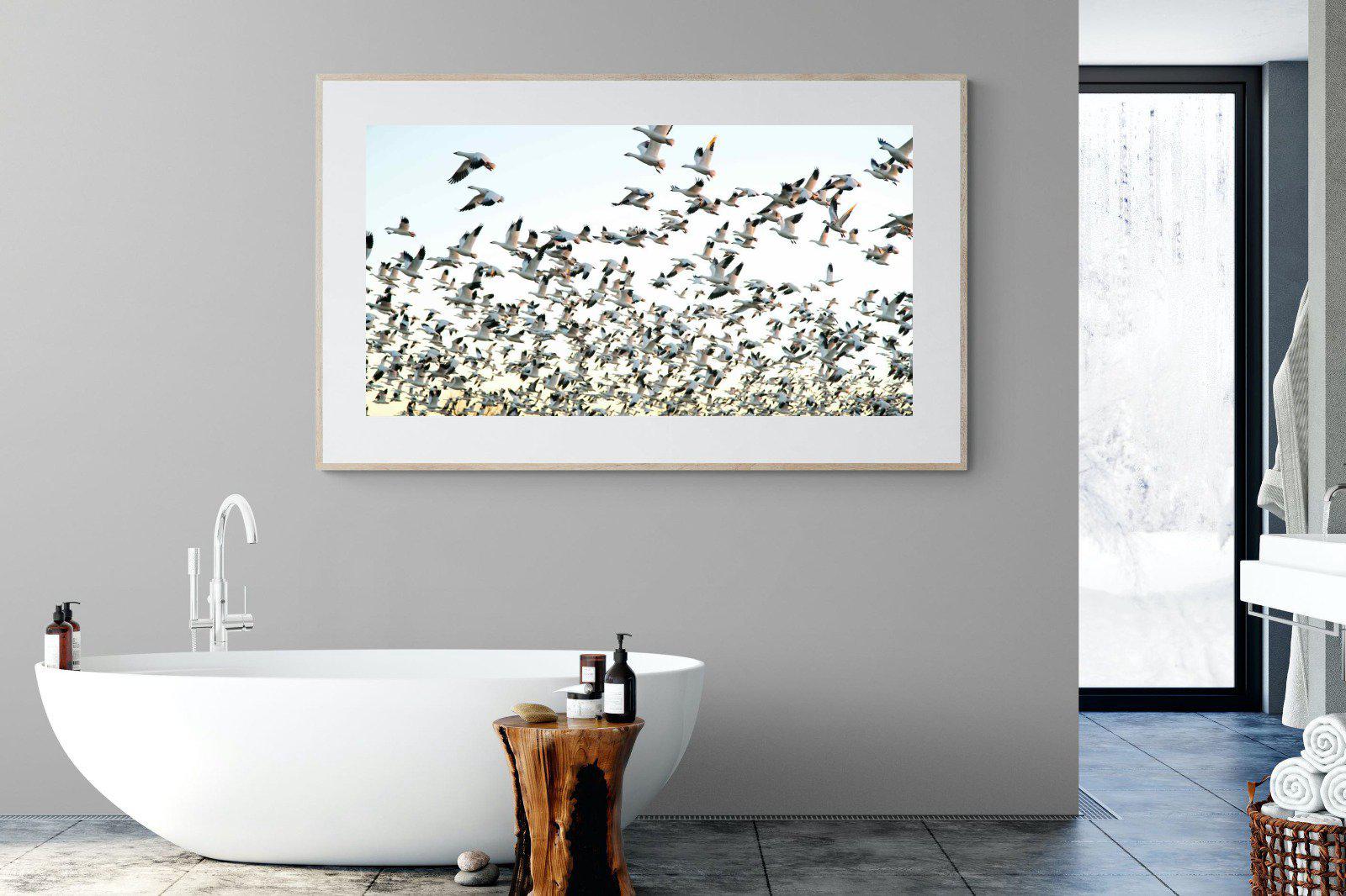 Snow Geese-Wall_Art-180 x 110cm-Framed Print-Wood-Pixalot