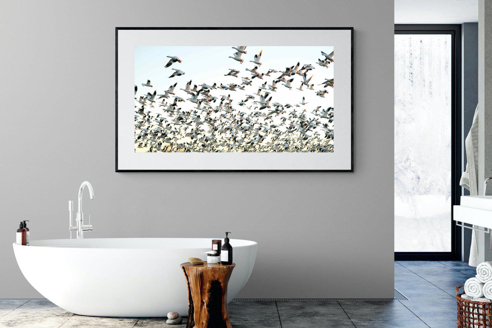 Snow Geese-Wall_Art-180 x 110cm-Framed Print-Black-Pixalot