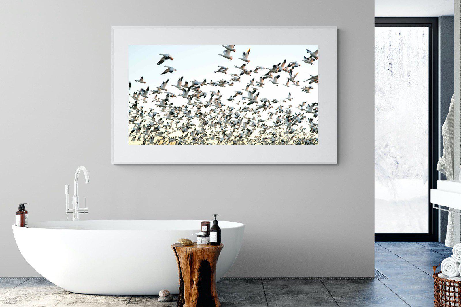Snow Geese-Wall_Art-180 x 110cm-Framed Print-White-Pixalot