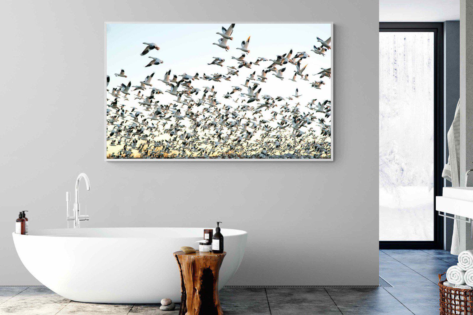Snow Geese-Wall_Art-180 x 110cm-Mounted Canvas-White-Pixalot