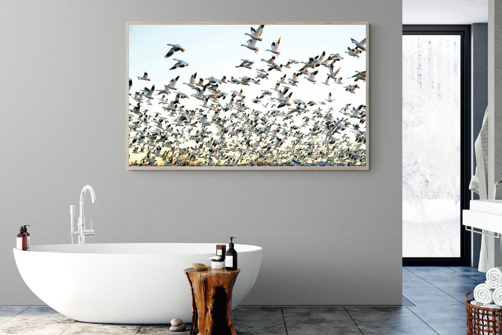 Snow Geese-Wall_Art-180 x 110cm-Mounted Canvas-Wood-Pixalot