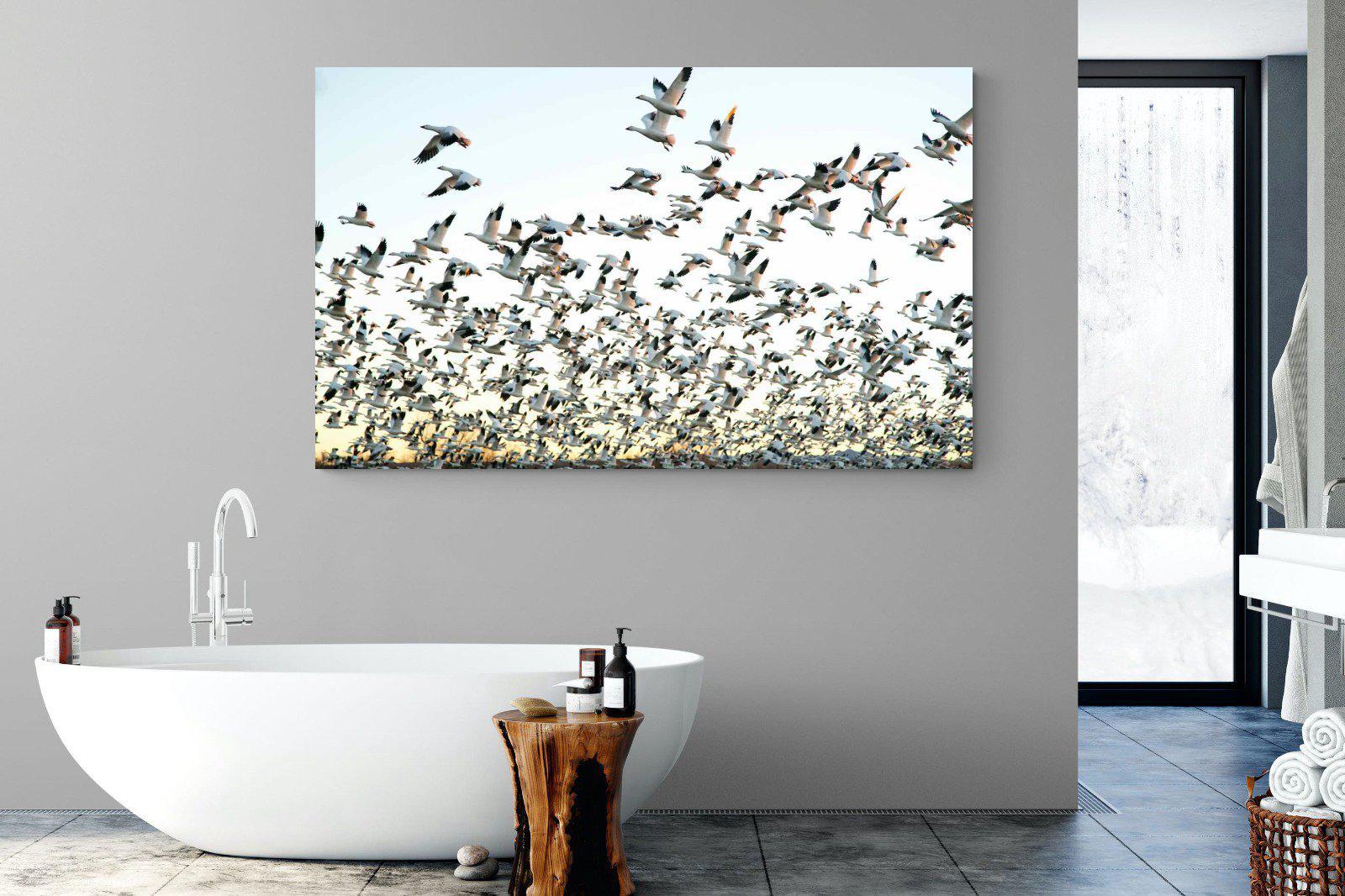 Snow Geese-Wall_Art-180 x 110cm-Mounted Canvas-No Frame-Pixalot