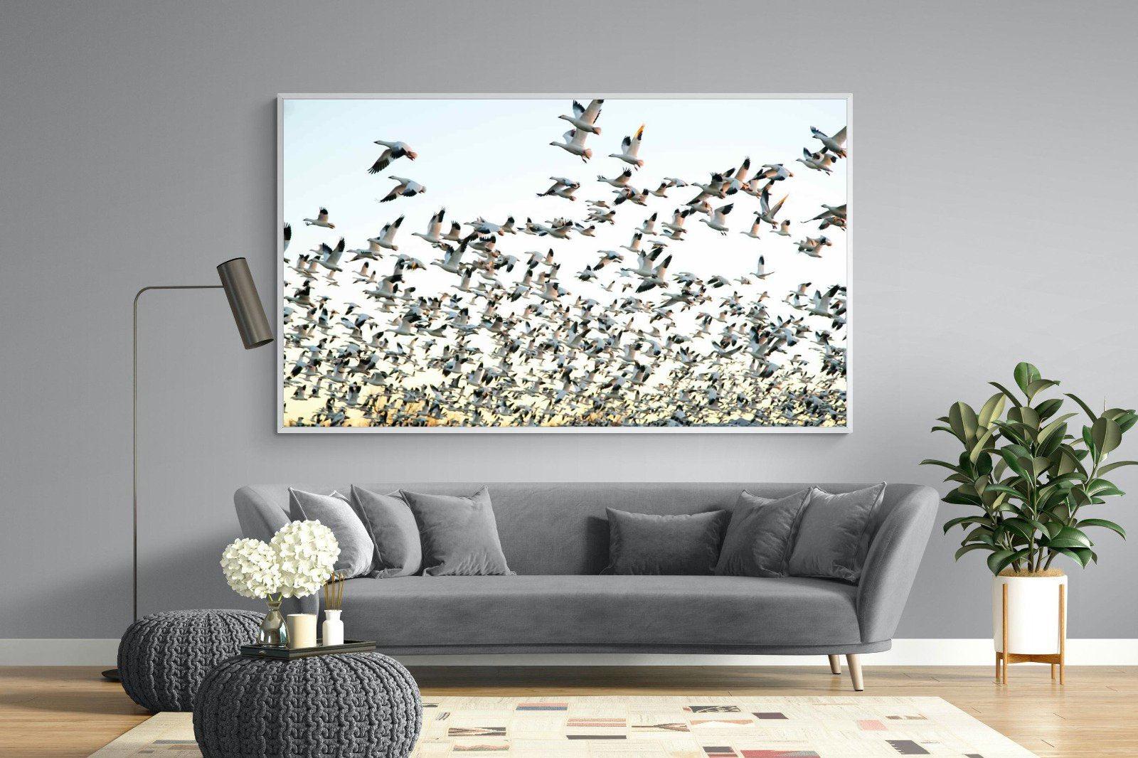 Snow Geese-Wall_Art-220 x 130cm-Mounted Canvas-White-Pixalot