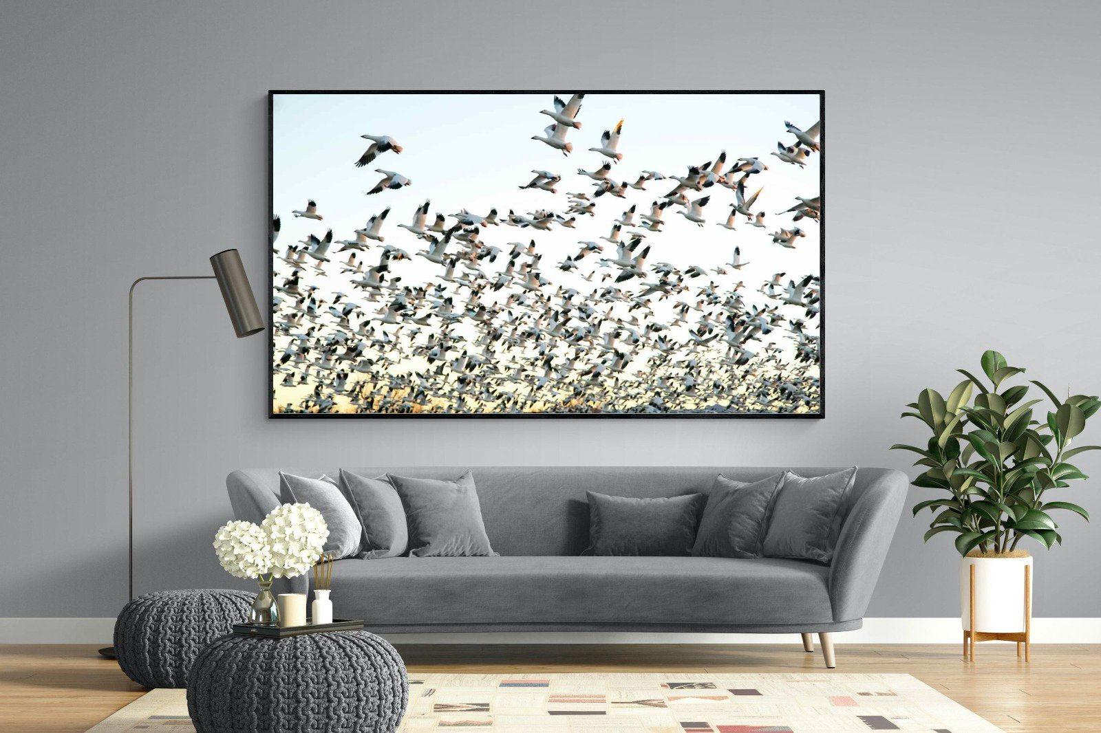 Snow Geese-Wall_Art-220 x 130cm-Mounted Canvas-Black-Pixalot