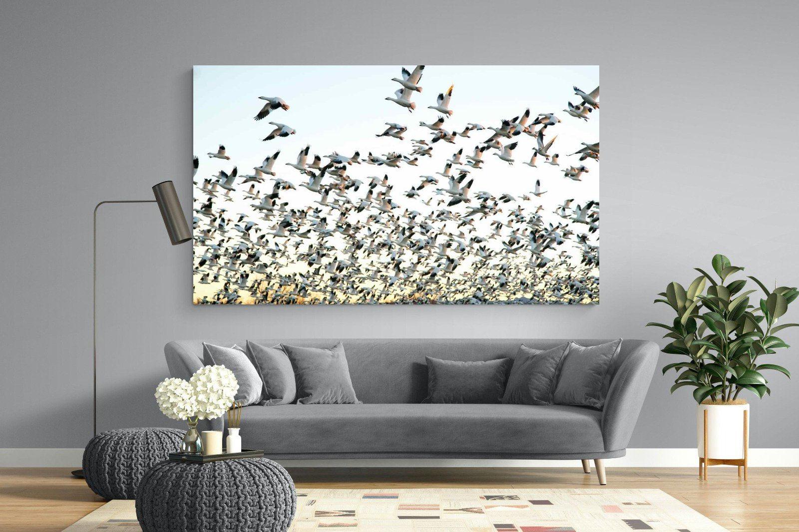 Snow Geese-Wall_Art-220 x 130cm-Mounted Canvas-No Frame-Pixalot