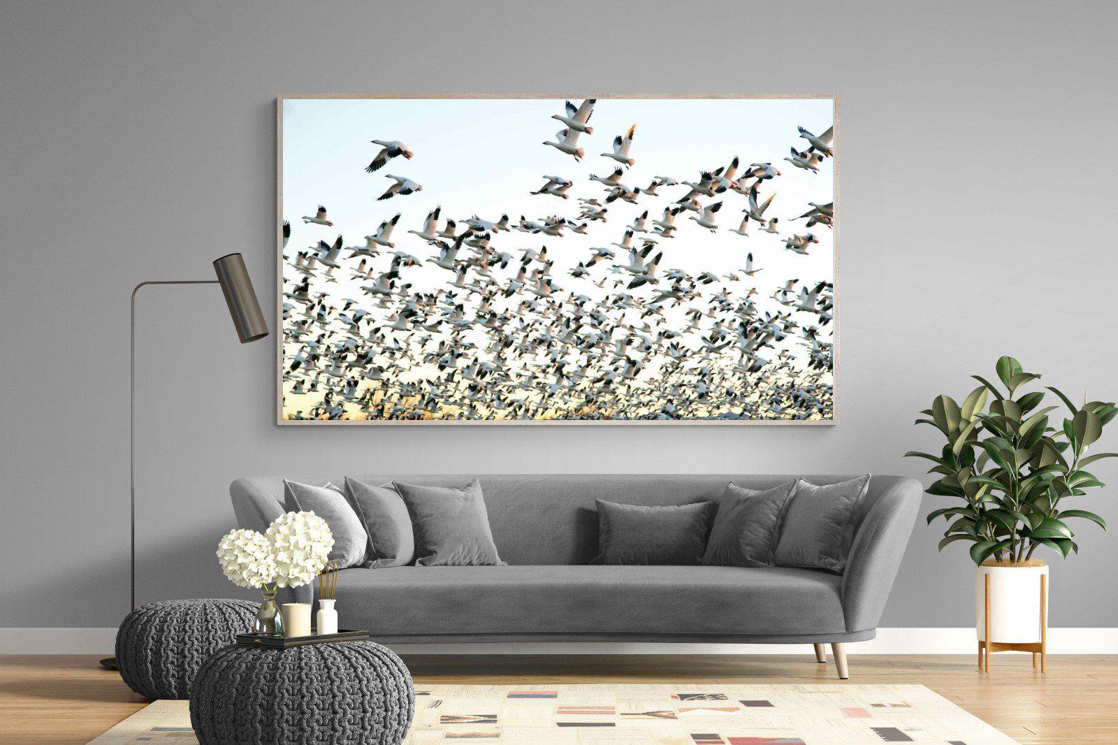 Snow Geese-Wall_Art-220 x 130cm-Mounted Canvas-Wood-Pixalot